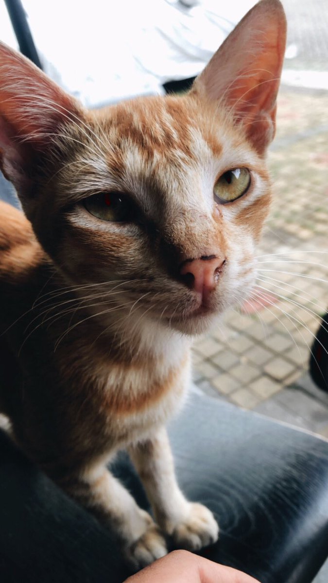 fvcknoobs's tweet photo. akan ada selalu tempat yg spesial dihati saya untuk kalian berdua❤️ https://t.co/zG7FVK2ToJ