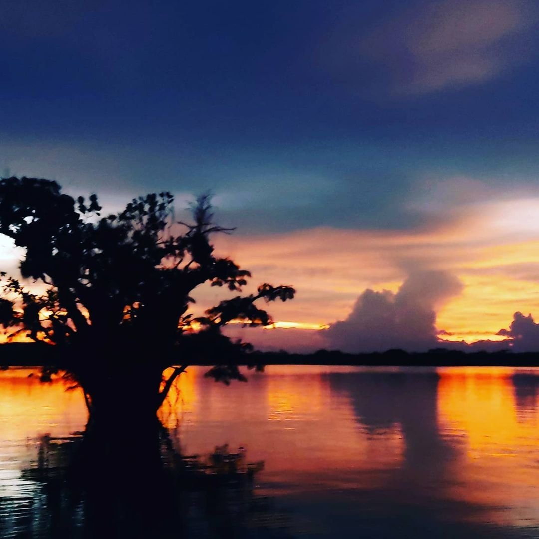 Revista Turismo & Comercio tweet media