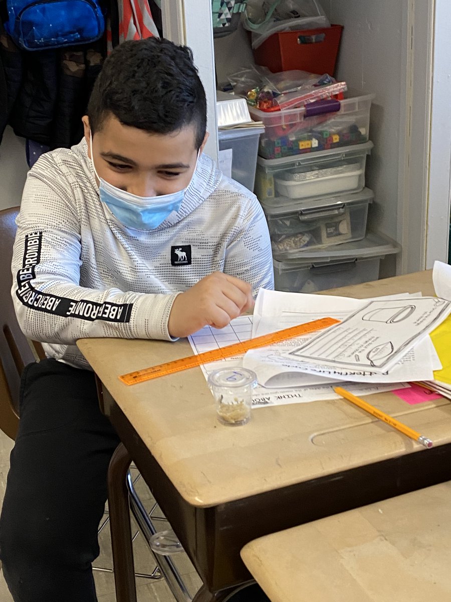 CSMrsSeaman1's tweet photo. @VS13UFSD
Our Third Grade Class began our Butterfly Unit - so exciting!
@WheelerAvenue https://t.co/ZxXnTiCEmK