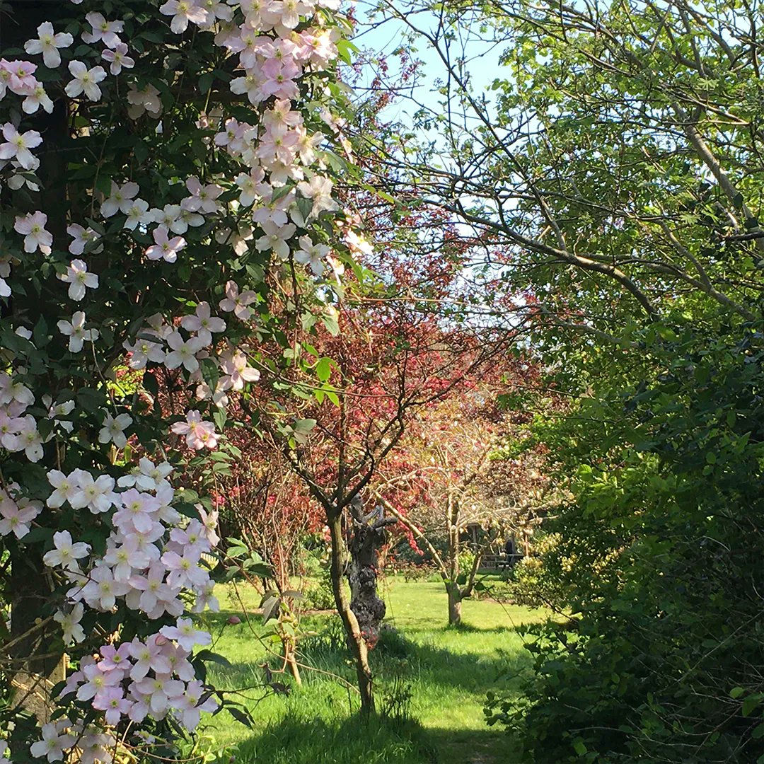 Daisy_KetoWoman's tweet photo. More prettiness from the dog park. 🌸💚
#KetoWoman #KetoWomanPodcast
#seaside #seasidelife #livingbythesea #seasideliving #hastingsandstleonards https://t.co/MrEFeQBc96
