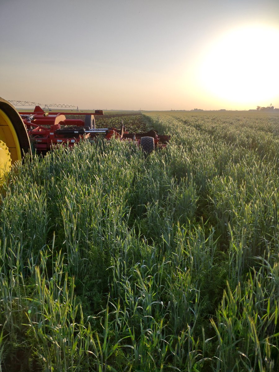 Eric A Thalken tweet media