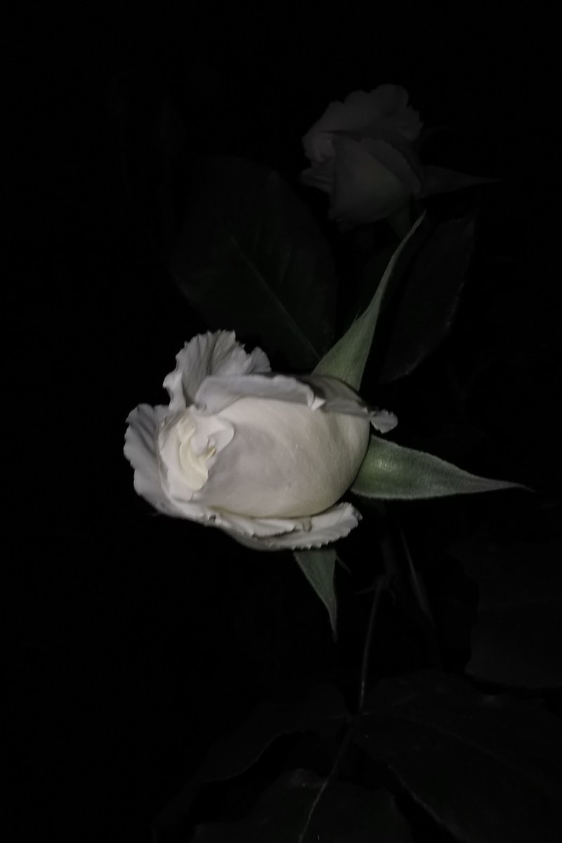 MarcosC13273070's tweet image. “O tempo passa, as pessoas passam, tudo passa muito rápido, então não ache que a sua dor não vai passar.”

— Maria Clara Nogueira. 
#permanecer