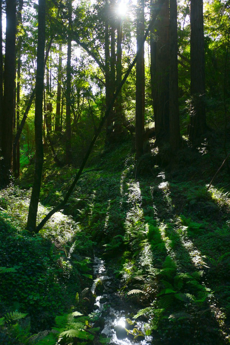 Joyographic tweet media