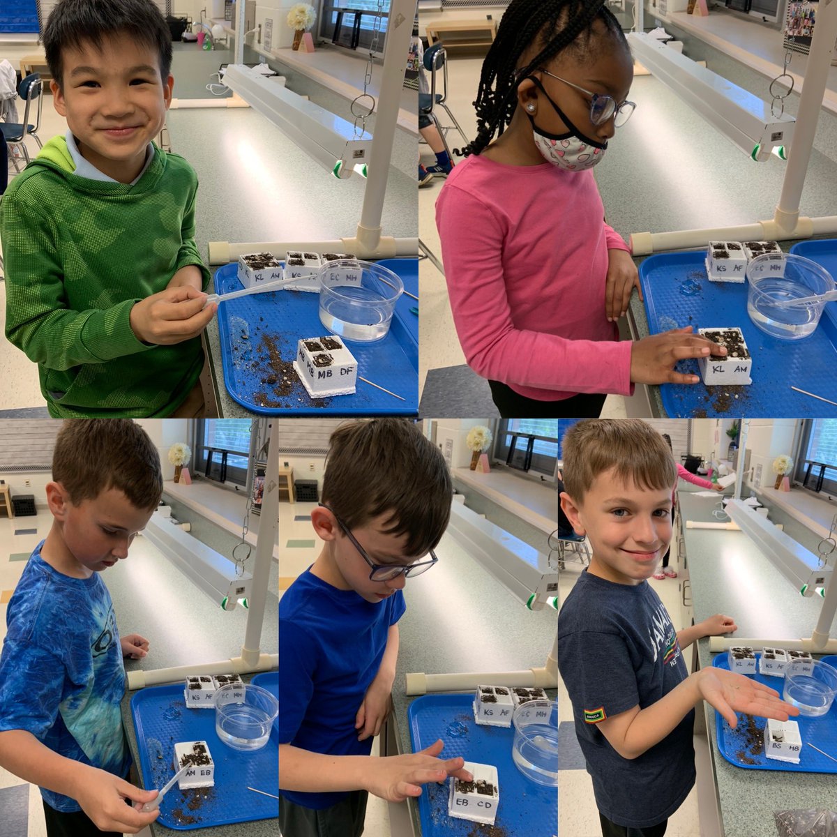 MrsPlakis3rd's tweet photo. Seeds planted and fertilized today as we kicked off our new science unit!✅ This crew is so excited to care for their plants and see some growth! 🌱🌼 @PDSD_Pennell https://t.co/OWkoyh9Vdc