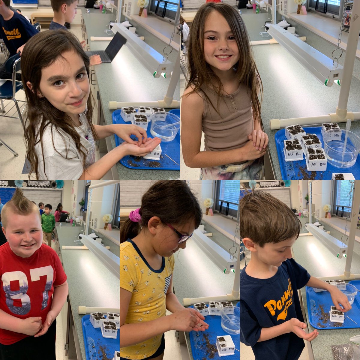MrsPlakis3rd's tweet photo. Seeds planted and fertilized today as we kicked off our new science unit!✅ This crew is so excited to care for their plants and see some growth! 🌱🌼 @PDSD_Pennell https://t.co/OWkoyh9Vdc