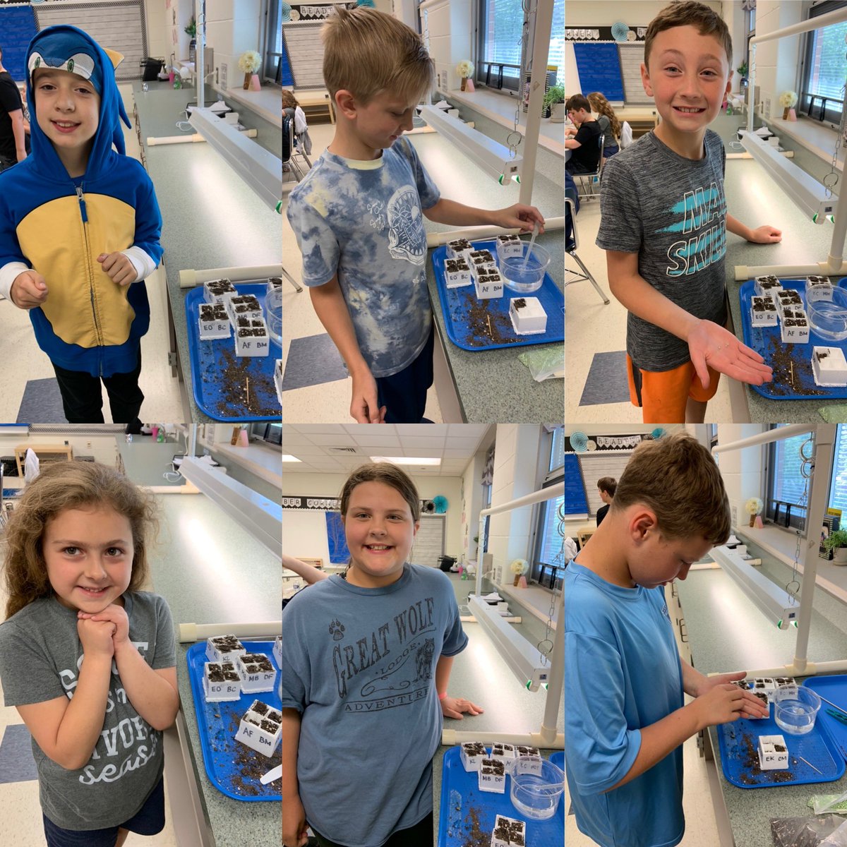 MrsPlakis3rd's tweet photo. Seeds planted and fertilized today as we kicked off our new science unit!✅ This crew is so excited to care for their plants and see some growth! 🌱🌼 @PDSD_Pennell https://t.co/OWkoyh9Vdc