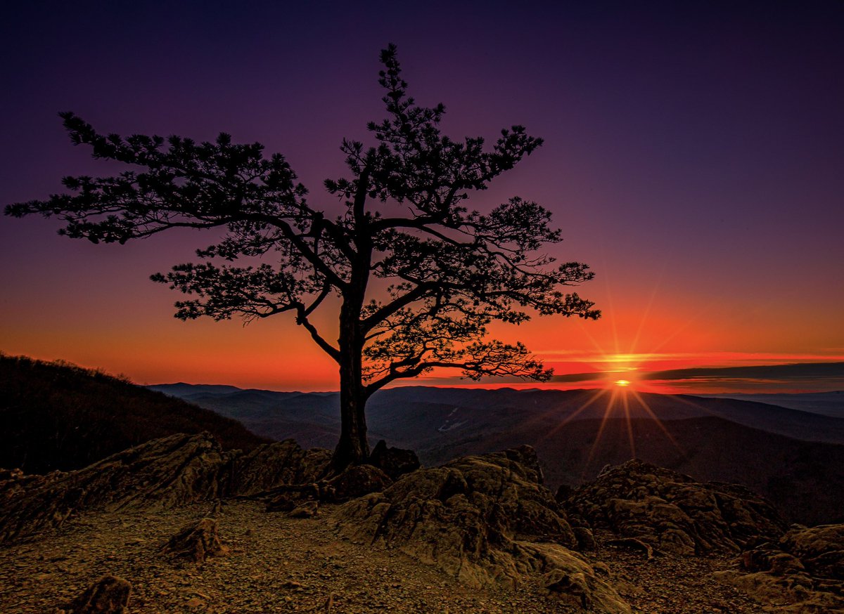 Nathan - Humble and Kind Photo tweet media