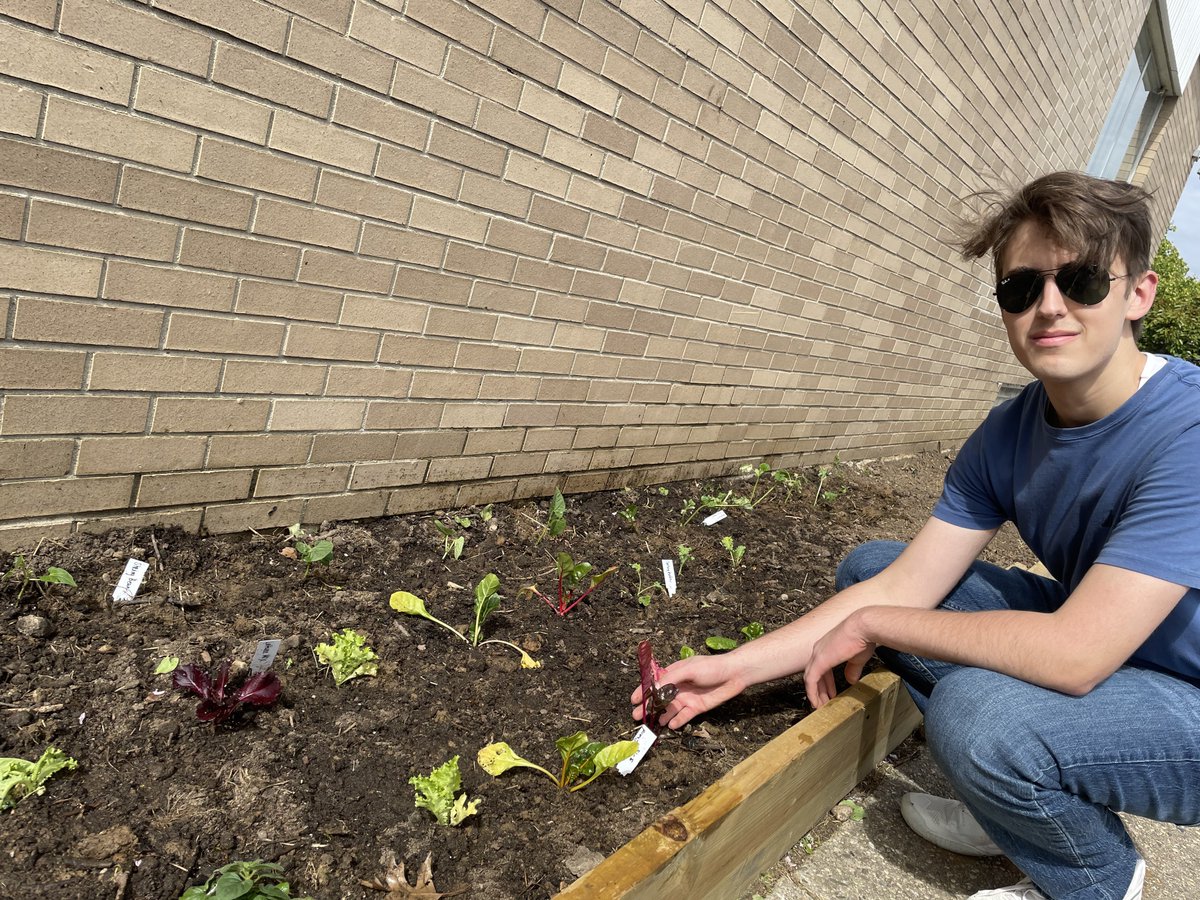 OBHS Environmental Club tweet media