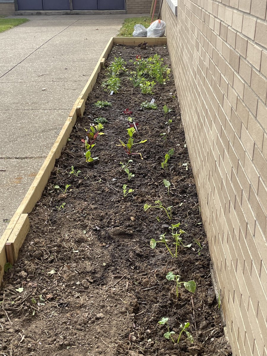OBHS Environmental Club tweet media