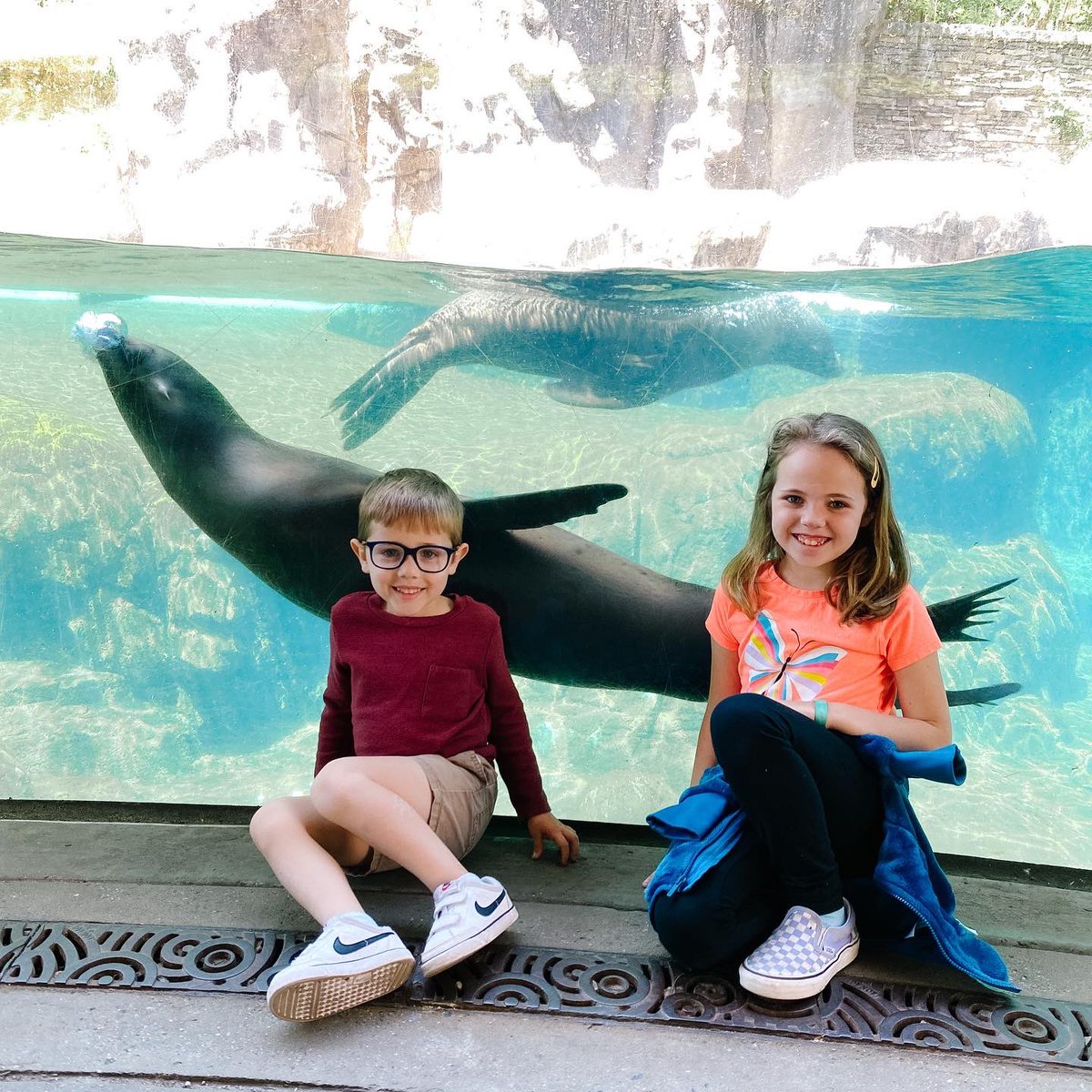 lauratnelson's tweet photo. We went to the zoo today and the highlight was how many compliments I got on my sweatshirt. Also my kids were there. https://t.co/KhBiTpkP3g