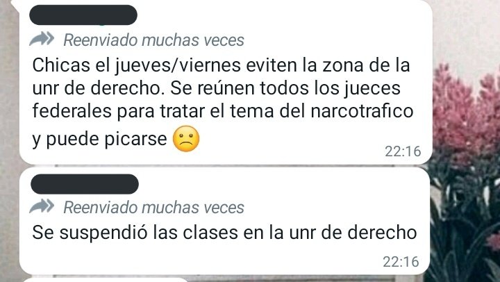Z tweet media