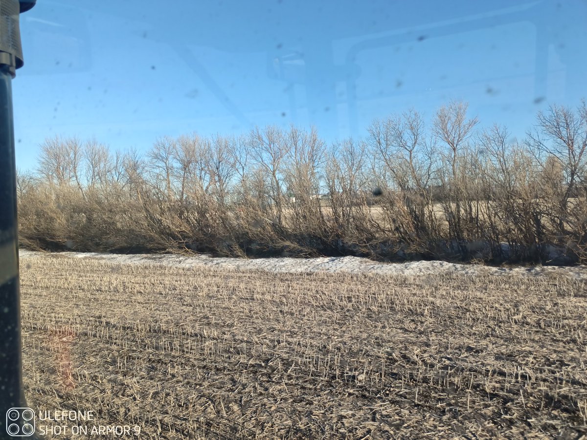 Joe_Widdup's tweet photo. Does "Don't spread urea on snow" still apply if it's snow banks in the fields on May 10th? #float22 https://t.co/dWfEcyxkPk