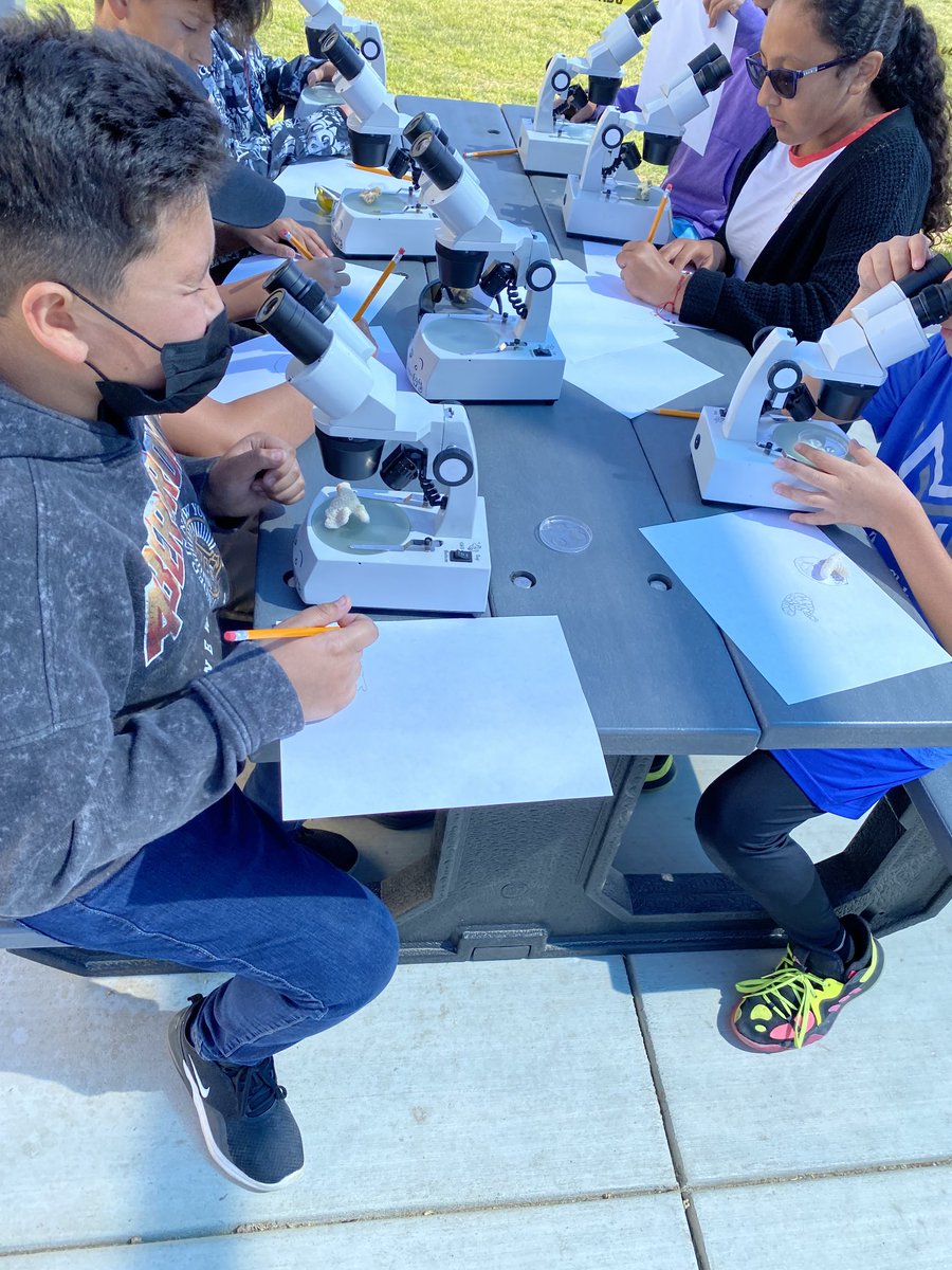 Great day for an Ocean Odyssey Adventure Maple School ❤️’s  STEMTaught ⁦⁦<a href="/StemTaught/">STEMTaught</a>⁩ ⁦<a href="/TimSSDA/">Timssda</a>⁩ ⁦⁦<a href="/stuartpackard/">Stuart Packard</a>⁩