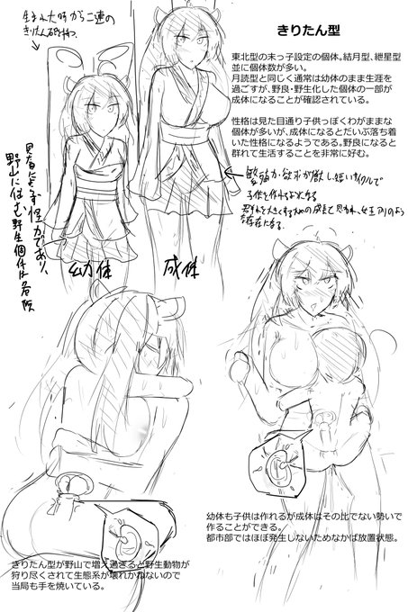 きりたん型は野良になると成体になることもあるという落書きコッショリ 