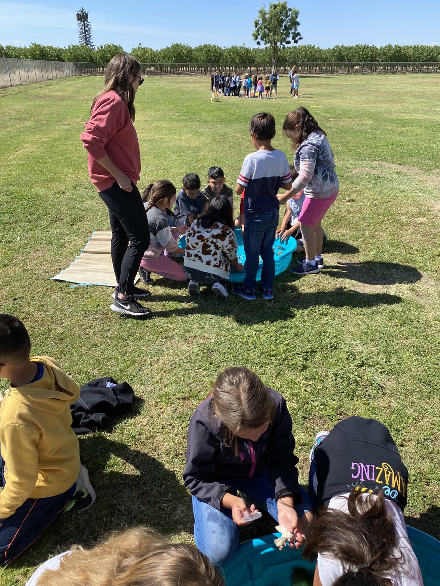 ⁦<a href="/StemTaught/">STEMTaught</a>⁩ more fun with STEMTaught at Maple today!! Science was enjoyed by all!!!