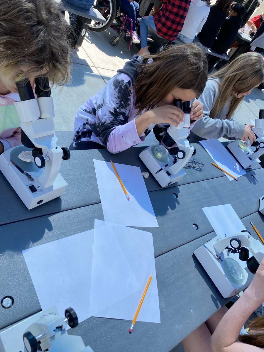 Exploring Coral models at our Ocean Odyssey Adventure Day ⁦<a href="/StemTaught/">STEMTaught</a>⁩