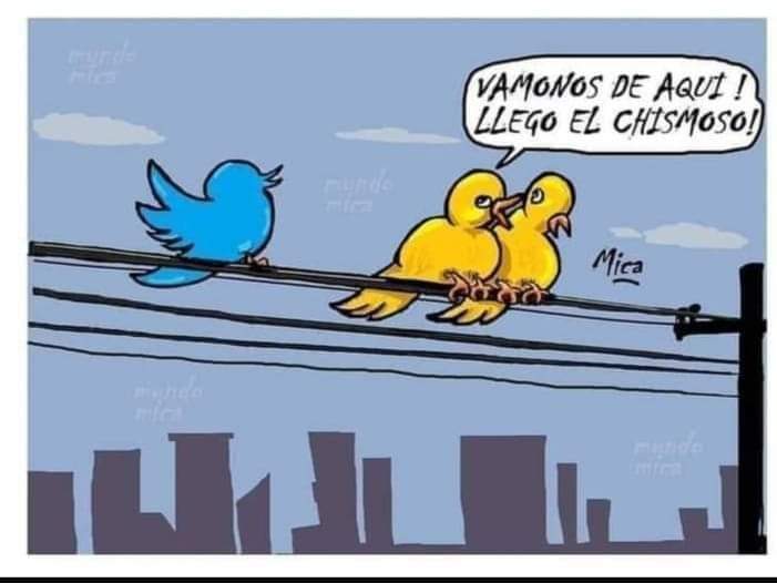 DidiFretez's tweet photo. Jaja https://t.co/LzdaP6omxo