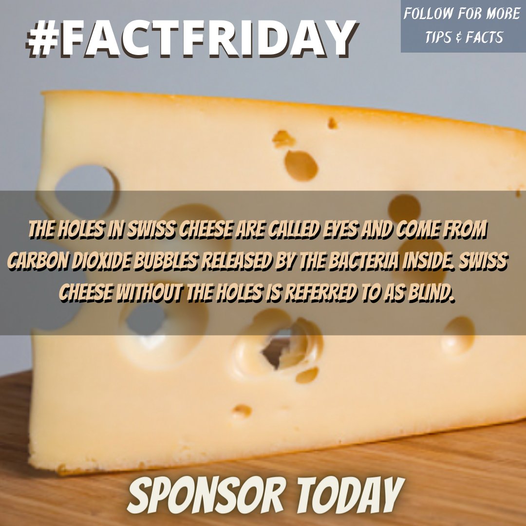WellPlanetPro's tweet photo. #FactFriday Any swiss cheese fans🧀? #wellplanetpro https://t.co/46H6zkQw4U