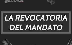 PhilipAMLC's tweet photo. REVOCATORIA decimos todos?  Bueno, aquí vamos. Pedro Granja y Joselito Arguello crearon 1 grupo en Wapp para informarnos del proceso, paso a paso. Únanse (Lassies espías serán detectados/convertidos) Kerly Carvajal-- 099.591.8452  No podrán comentar, solo leer. #REVOCATORIA https://t.co/vHWiWp45DS