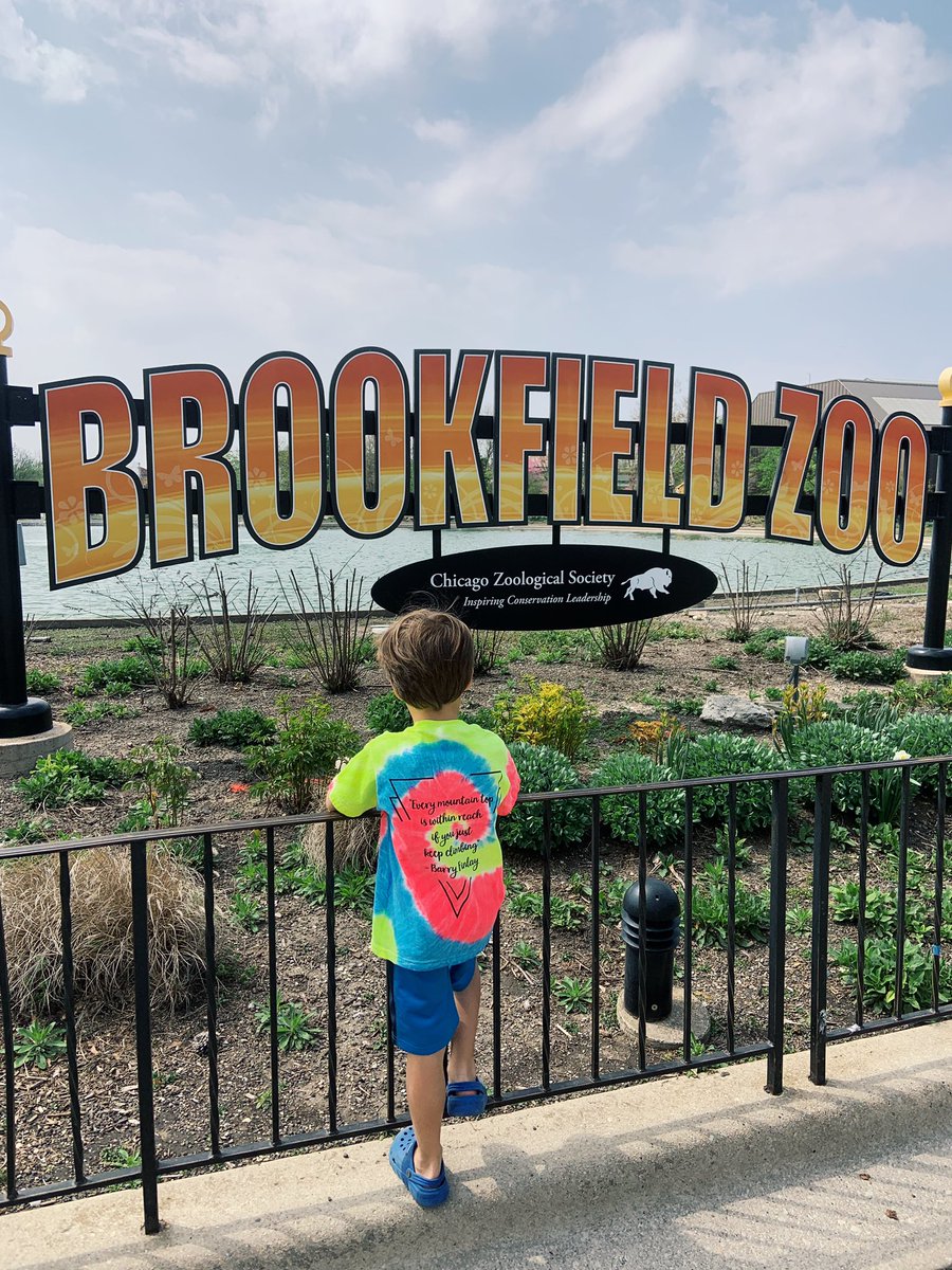 maddiehackett2's tweet photo. Zoo day with my favorite little boy!! 🐸@NCHSPreschool https://t.co/5XPQkEVARO