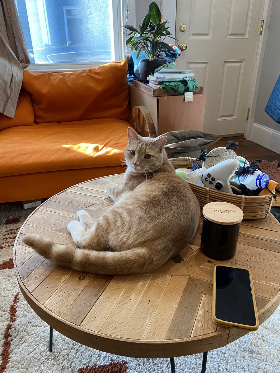 thomas_emery's tweet photo. He basically has not moved from here in a day. https://t.co/Bl8NITj4uo