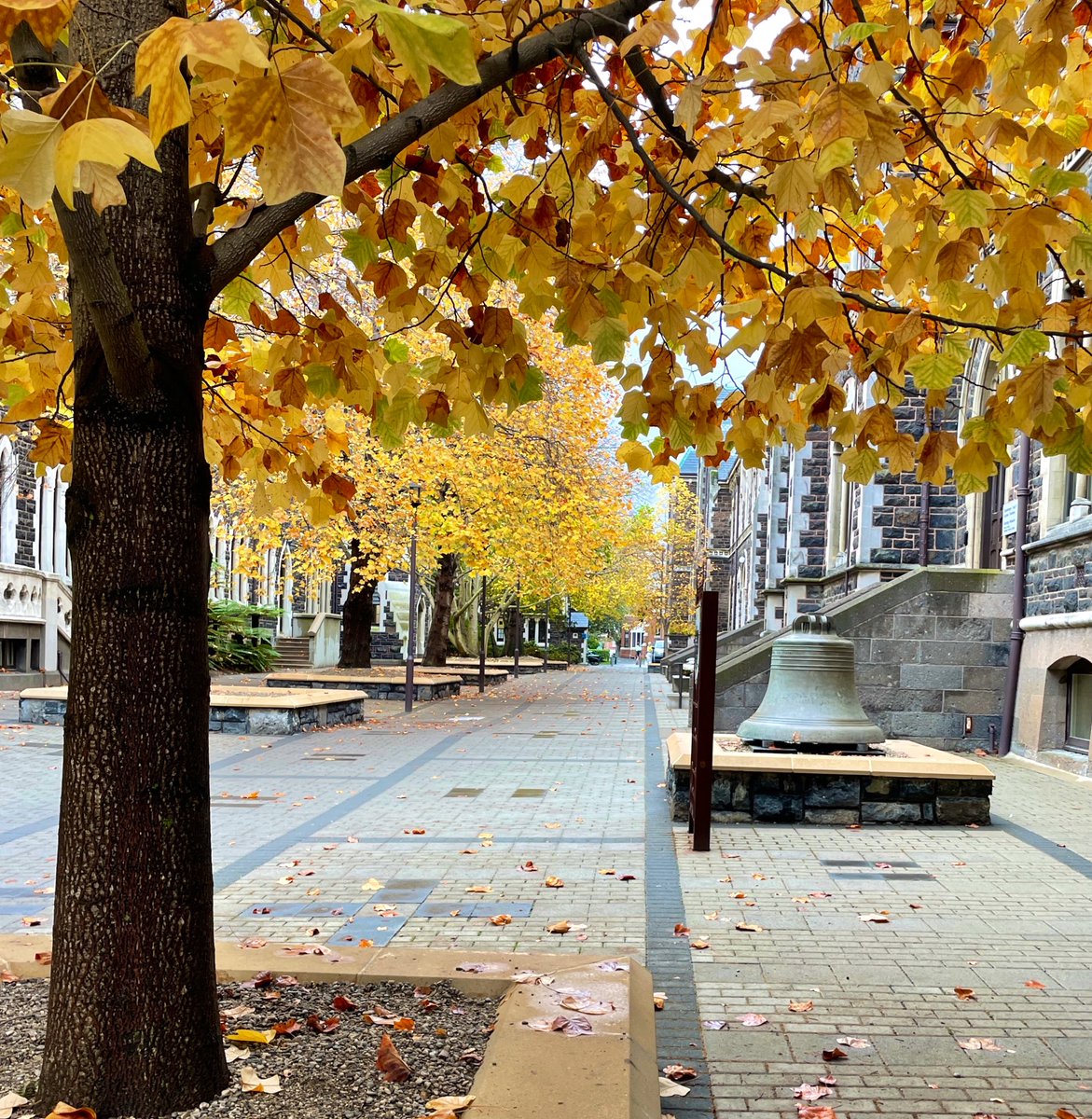 An autumn day on campus <a href="/otago/">University of Otago</a> 🍁