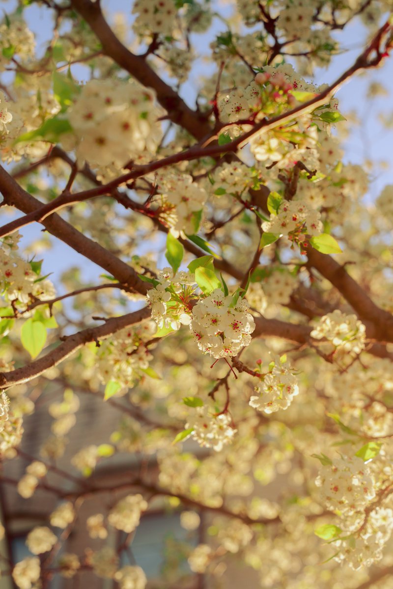 _thecolorfulkid's tweet image. Dreams of warmth