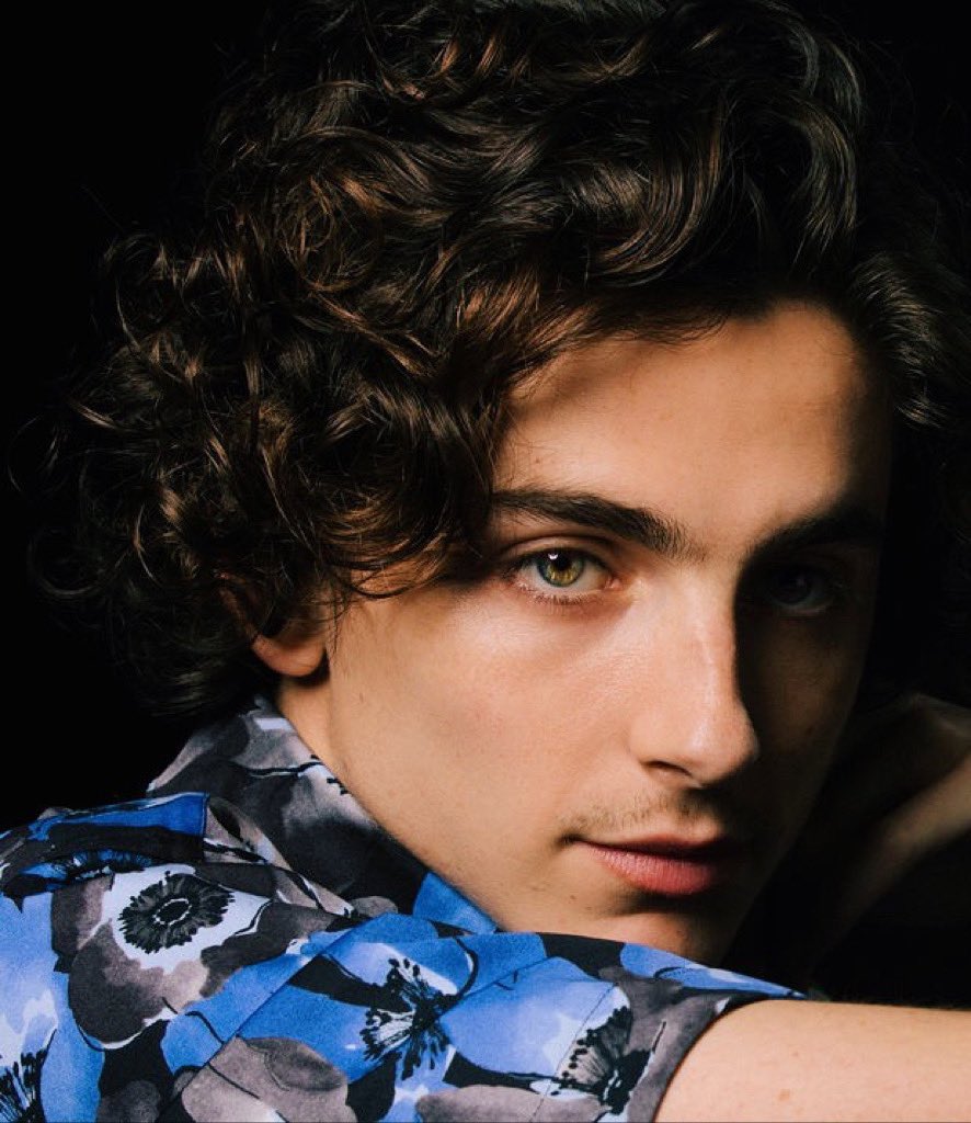 Timothée Chalamet pics (@dailytimothee) on Twitter photo 