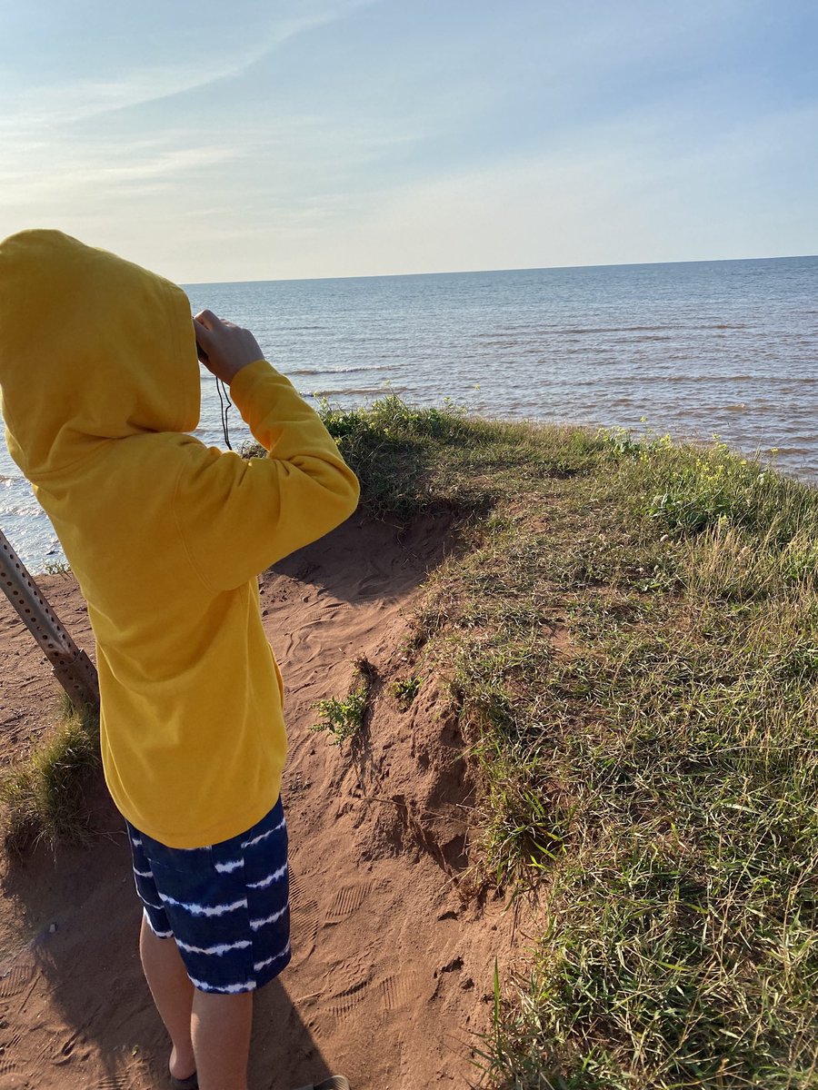 Jennifer Murphy tweet media