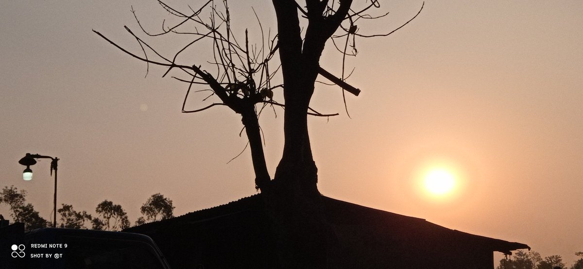 Ratul_Saha608's tweet photo. Beauty of Morning🌼🖤
© https://t.co/IQfEjGrALf