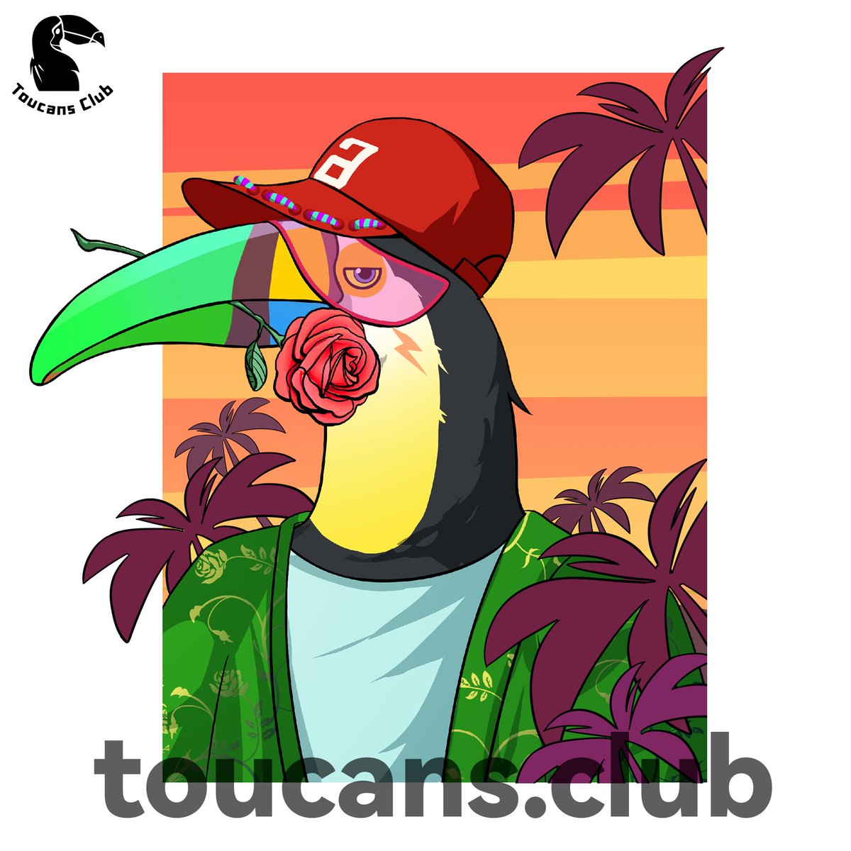 Toucans Club tweet media