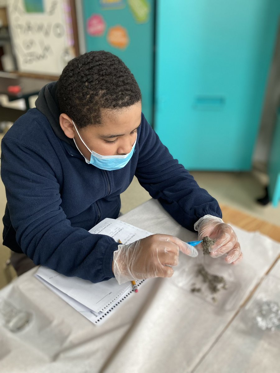 Our sixth graders dissected owl pellets to learn about organisms and ecosystems <a href="/pvdprep/">PVD Prep</a> 🦉 🔬