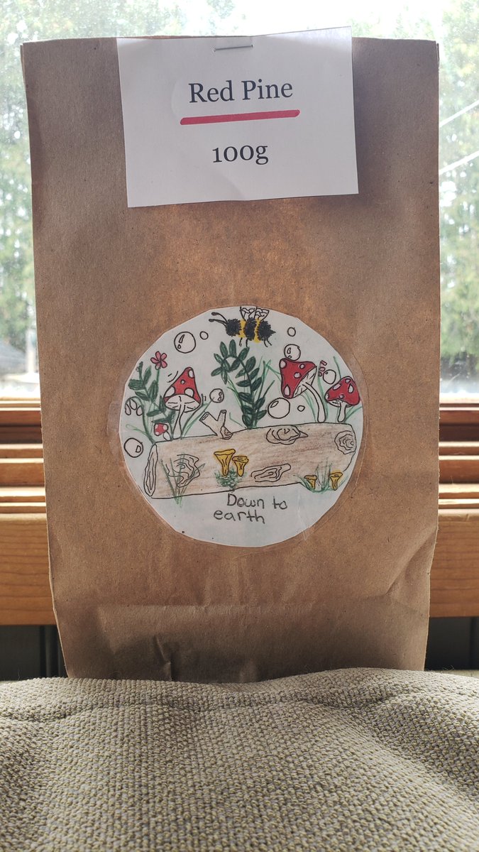 OttawaCBF's tweet photo. Come check out Down to Earth, a small group of kids and teens who love foraging and being out in nature. Visit their booth this weekend where they will be selling cups of freshly brewed red and white pine iced tea &amp; dried tea packages to take home! https://t.co/x7teeOUUFr https://t.co/JGk1cU9usO