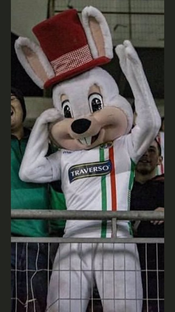 Cristobal_lcbl's tweet photo. #SorteoCopaChileEasy
@audaxitaliano 🆚 @SAU_chile2021 https://t.co/hxTyi7rz6H