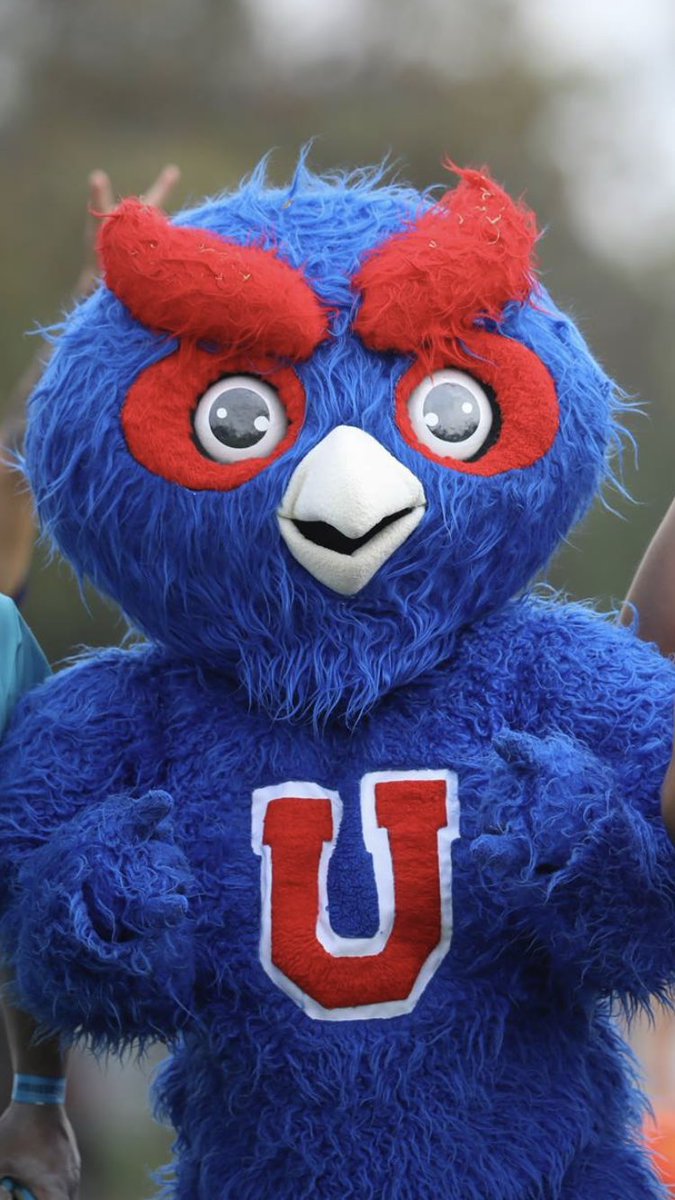 Cristobal_lcbl's tweet photo. #SorteoCopaChileEasy
@udechile 🆚 @GralVelasquez https://t.co/vaYlrLMb2o