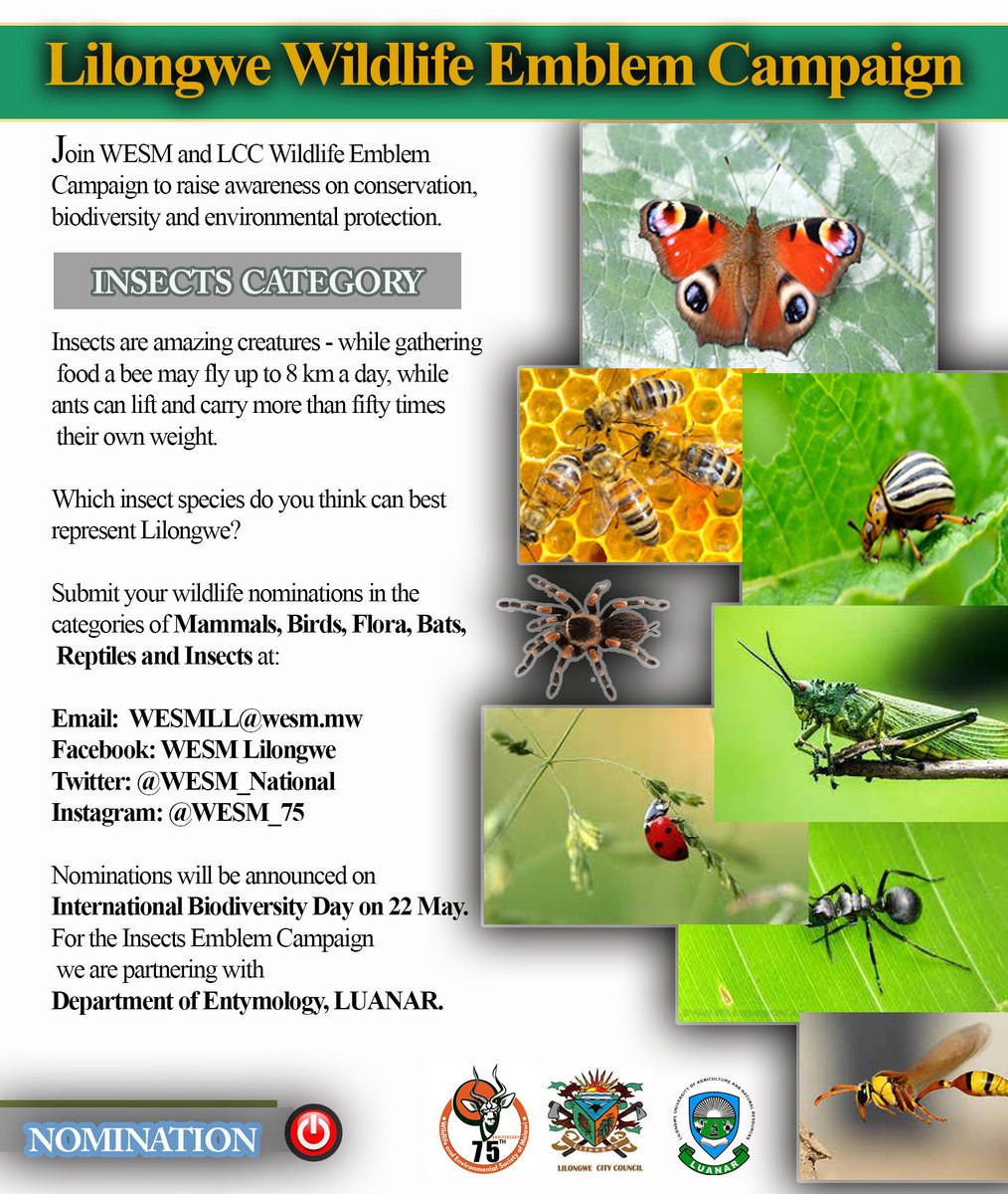 Join WESM and LCC to raise awareness on conservation and biodiversity by nominating the wildlife emblem in different categories.
<a href="/malawiwildlife/">Lilongwe Wildlife Trust</a> <a href="/MSBiodiversity/">MUST Biodiversity</a> <a href="/Luanarofficial/">Luanar</a> <a href="/BirdLife_Policy/">BirdLife Policy</a> <a href="/MalawiGovt/">Malawi Government🇲🇼</a> <a href="/FloraGreenFauna/">Flora Green Fauna</a> <a href="/UNEP/">UN Environment Programme</a> <a href="/CsosAfrican/">African CSOs Biodiversity Alliance</a> <a href="/malatamathews/">Mr. Green</a> <a href="/ChrisConnellyMw/">Chris Connelly</a>