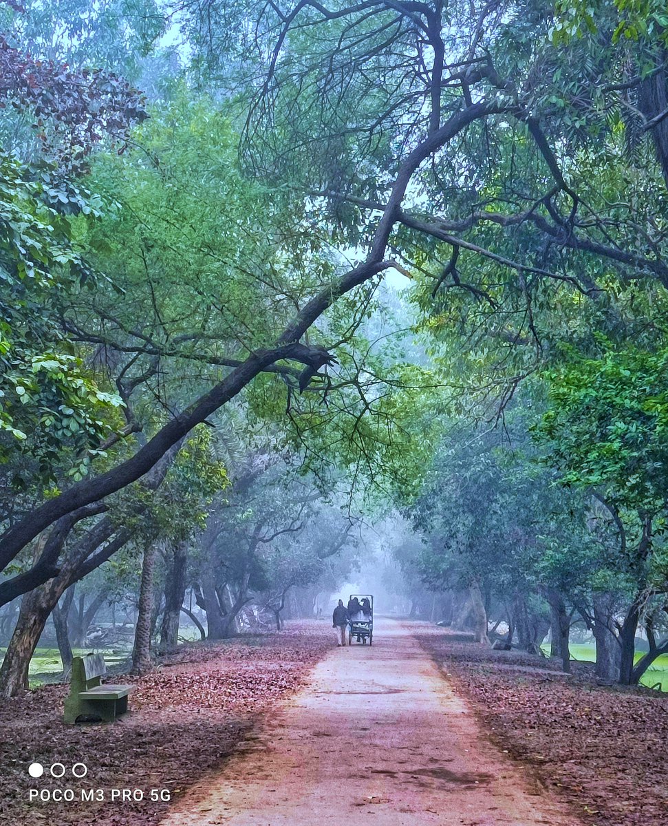 IndiaPOCO's tweet photo. It’s the calm of a new morning before the storm of the day!
#ShotOnPOCOM3Pro5G by Jatin Malhotra
#ShotOnPOCO #POCOM3Pro5G #POCOIndia https://t.co/qckVkQp3SQ