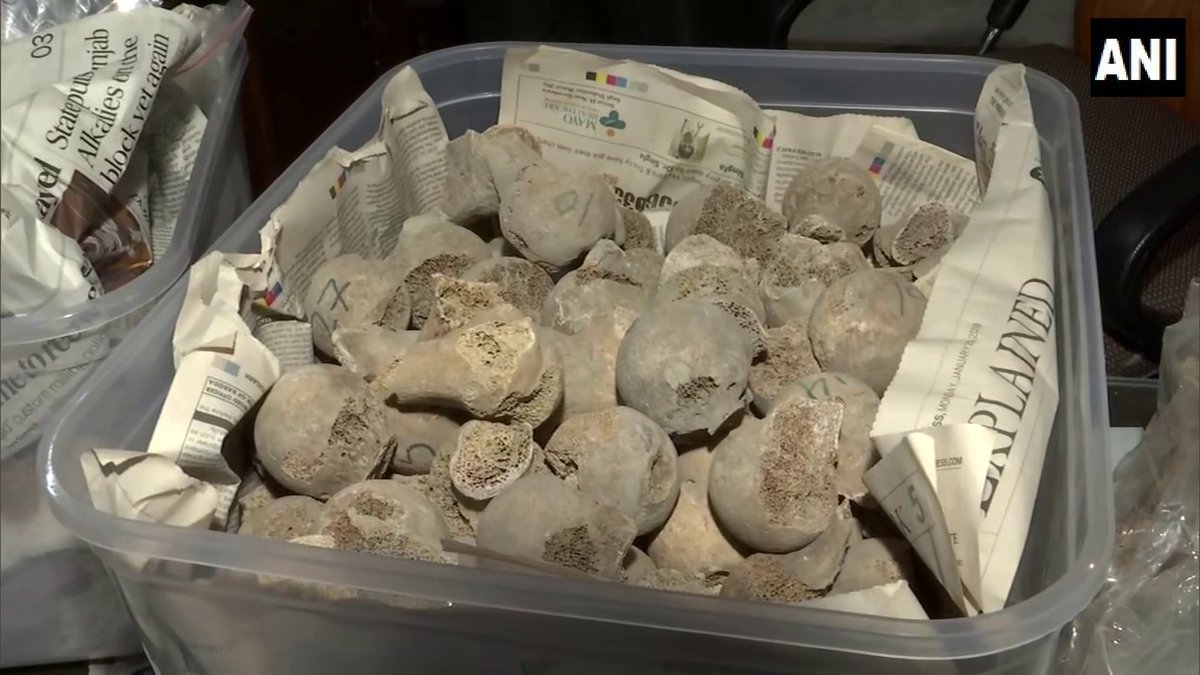 ANI's tweet photo. Chandigarh| These skeletons belong to 282 Indian soldiers killed during India's 1st freedom struggle against the British in 1857. These were excavated from a well found underneath religious structure in Ajnala near Amritsar, Punjab: Dr JS Sehrawat Asst Prof Dept Anthropology PU https://t.co/pfGdz4W5sC