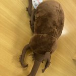 ツイートに含まれる画像
