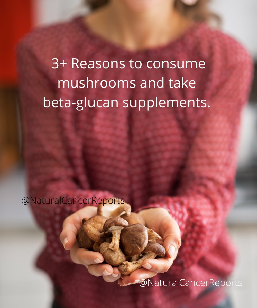 Cancer_Reports's tweet photo. Beta-Glucans and frequent mushroom intake: during cancer treatment:
1. Improves quality of life
2. Improves longevity 
3. Reduces risk of cancer
And during cancer treatment:
1. Improves the efficacy of chemotherapy 
2. Improves efficacy of radiation treatment. https://t.co/D86vLSGAmn
