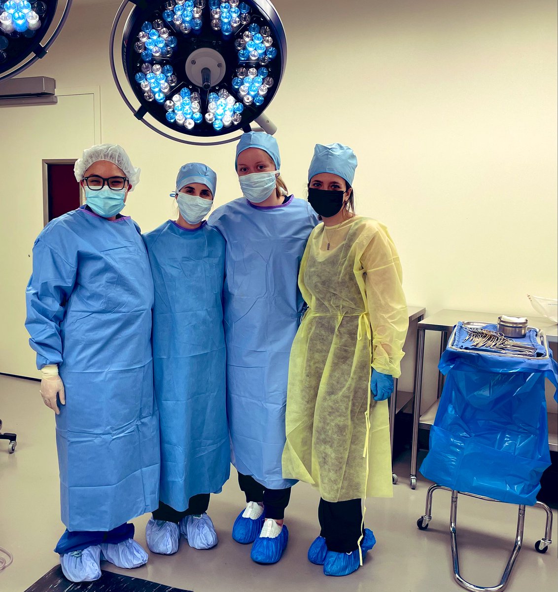Scrubbed into one of my last @MauckLab surgeries today with a strong 💪🏻 group of women across vet med (@NatalieFogart13), ortho surg (Kendall Masada), and engineering (@SereenSAssi1) 🤩 #orthotwitter @PerryInitiative