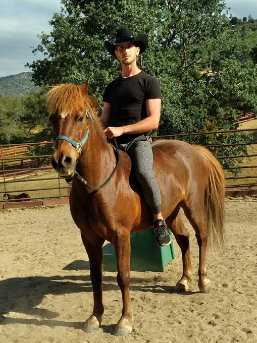 This is the neighbors new 13 yr old Icelandic hybrid gelding.   Sometimes in life u have to just get