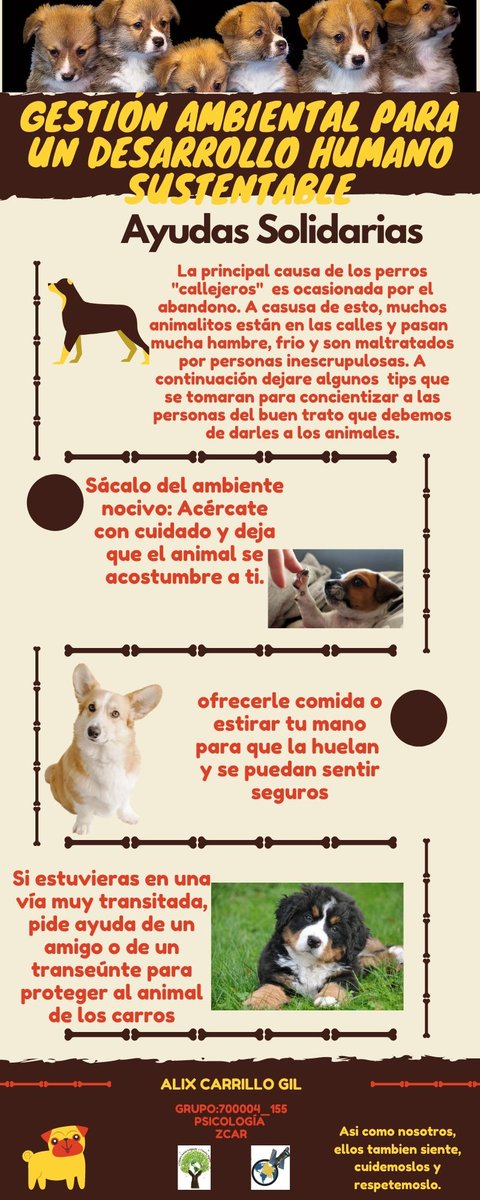Alix Carrillo tweet media