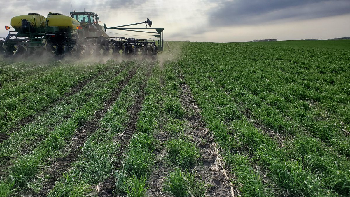 kruser02's tweet image. Fall manure strips into triticale. 
#Plant22 #Plantgreen22