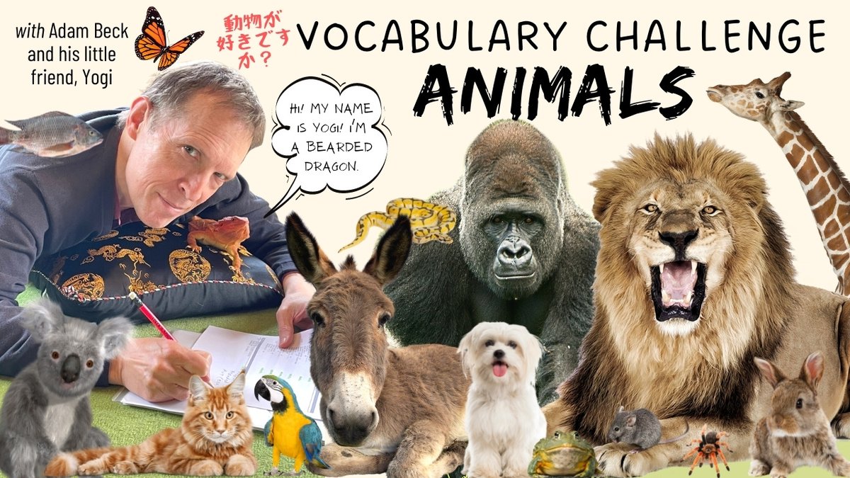 bilingualmonkey's tweet photo. 🐯Vocabulary Challenge: Animals ②🐯
If you like animals, you'll love this vocabulary challenge!
Saturday, June 18, 9:30~10:30PM
https://t.co/0T4TkGiv3s #英語ステーション via @eigostation https://t.co/kJlJ2GunBq