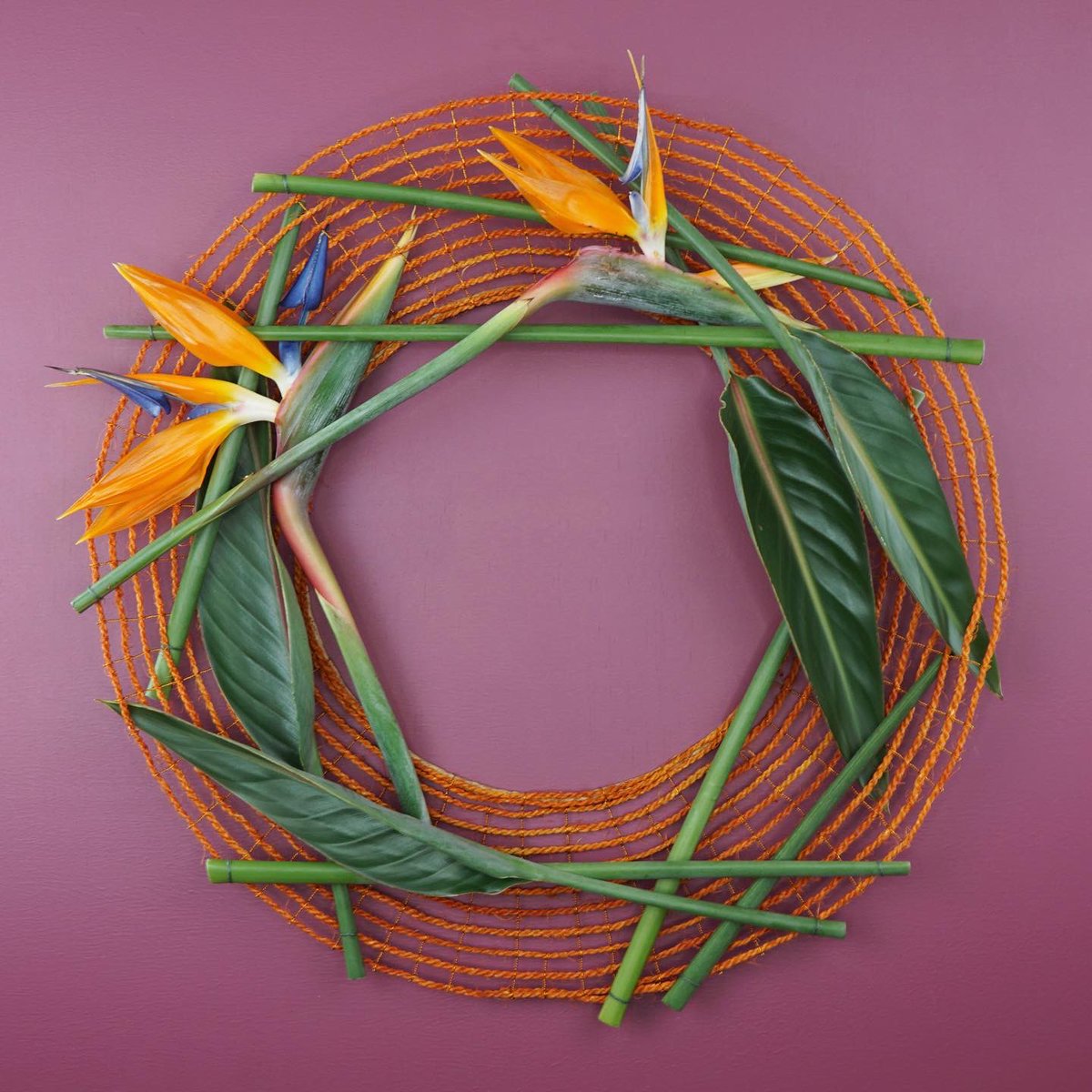 MarkPampling's tweet photo. Another Strelitzia inspired wreath for Task 3 in Design Discipline with Flower Thinking.
.
#strelitzia
#strelitziareginae
#floralart #floraldesign
#wreath
#wreathdesign
#contemporarywreath
#designdiscipline
#floraldesigndiscipline https://t.co/XZyN2tp589