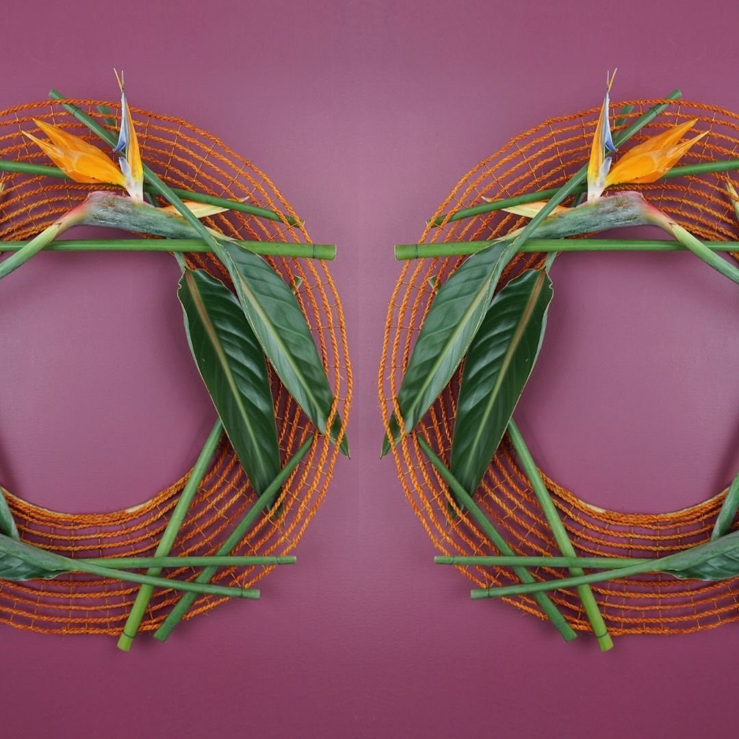 MarkPampling's tweet photo. Another Strelitzia inspired wreath for Task 3 in Design Discipline with Flower Thinking.
.
#strelitzia
#strelitziareginae
#floralart #floraldesign
#wreath
#wreathdesign
#contemporarywreath
#designdiscipline
#floraldesigndiscipline https://t.co/XZyN2tp589