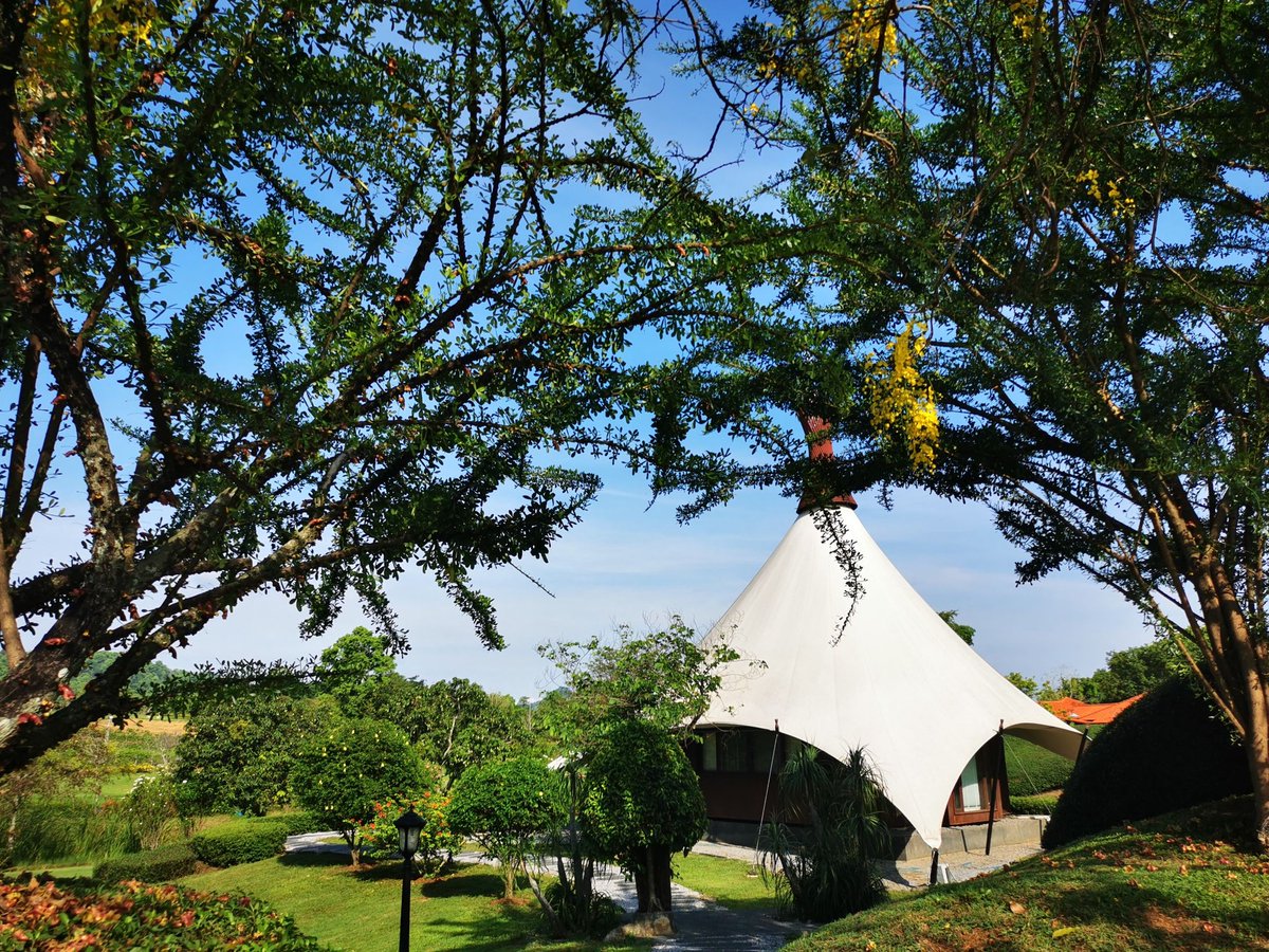 PBKhaoYai's tweet photo. Greetings from PB Valley on a “Blooming Day” come to breathe fresh air, experience nature, relax, explore the gardens & vineyards & forget the stress in the crowded, bustling city. #PBValley #Vineyard #Winery #FarmTours #diningwithaview #SHAPlus #FoodandTravel #MICE #KhaoYai https://t.co/Ap09Djlejo