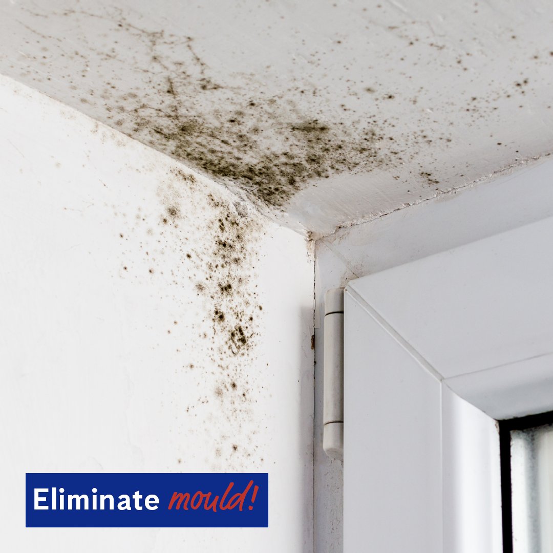Flick’s fogging solution eliminates mould, targets and kills airborne mould spores, and prevents mould from growing back. 

Contact us today, call 13 14 40!

#flickanticimex #mouldsolutions #nswfloods #qldfloods #wetweather #mould #mouldcontrol #floodrelief