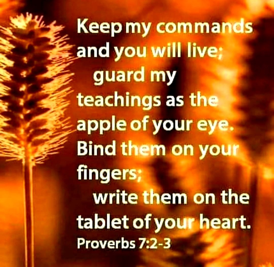 Ladymeraki1's tweet photo. 'With long life will I satisfy those who endeavor to faithfully keep My Word'🕊 Selah
#ObedienceIsTheKey
~God~ https://t.co/iQfXCCnk3N